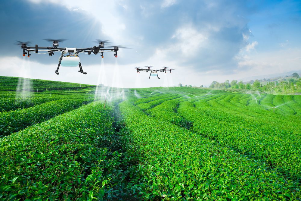 تغییرات تکنولوژی در کشاورزی و چگونگی پذیرش نوآوری در آن
