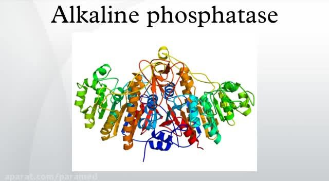 نشانگر-مولکولی-ALP