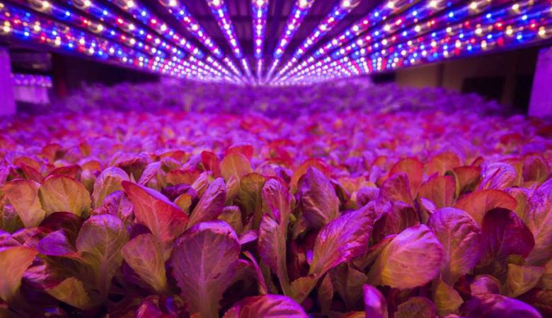 نور مصنوعی در کشاورزی و انواع آن