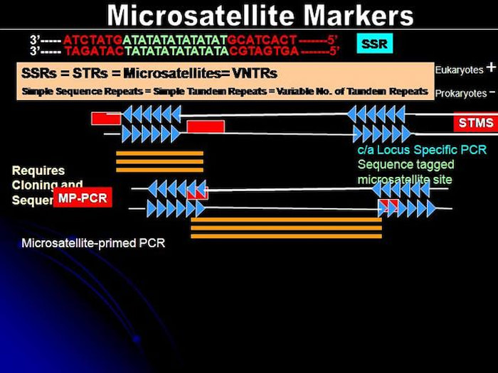 ریزماهواره های نشانمند از ردیف یا STMS