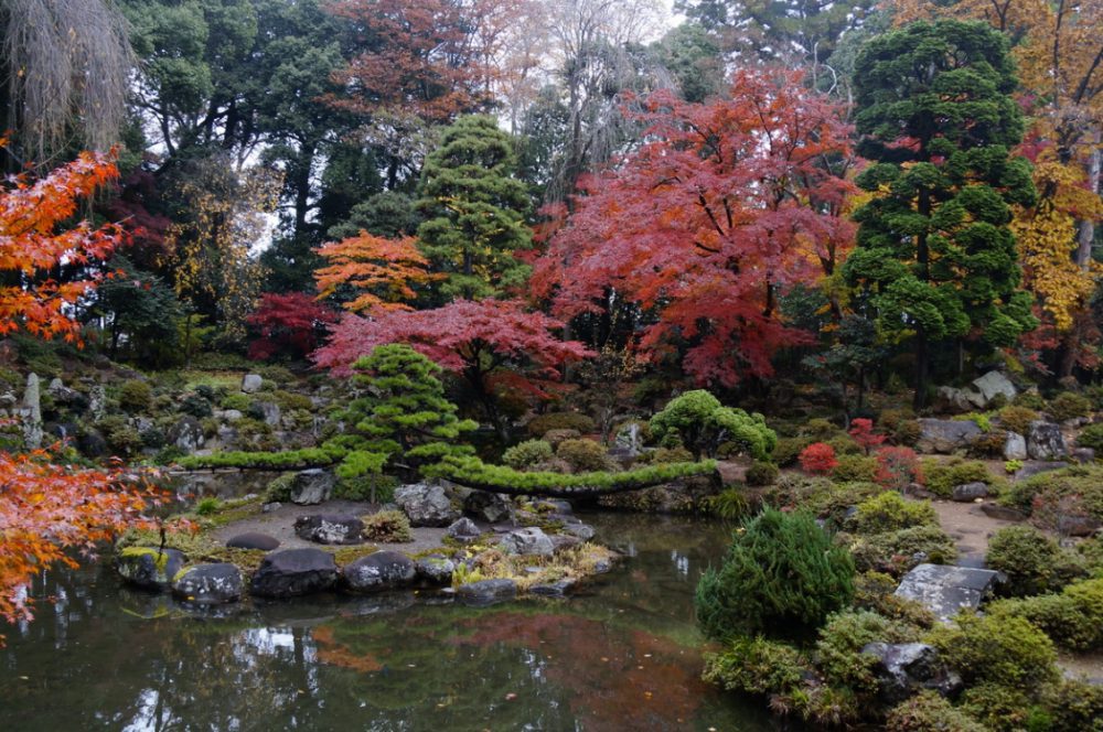 باغ-سازی-ژاپنی
