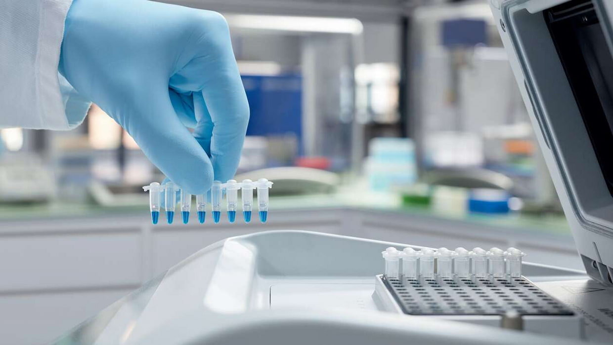 معرفی تکنیک DDRT-PCR 