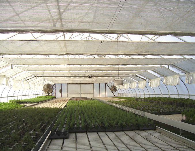 روش های ایجاد سایه بان برای گلخانه ها