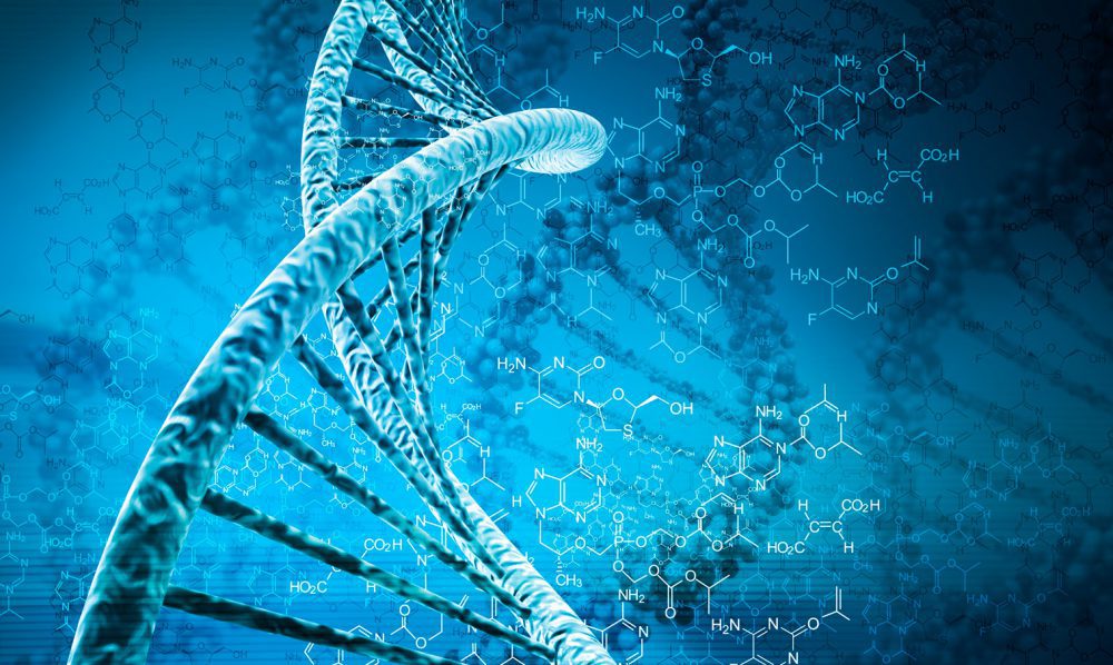 ماهیت و ساختار DNA چیست؟