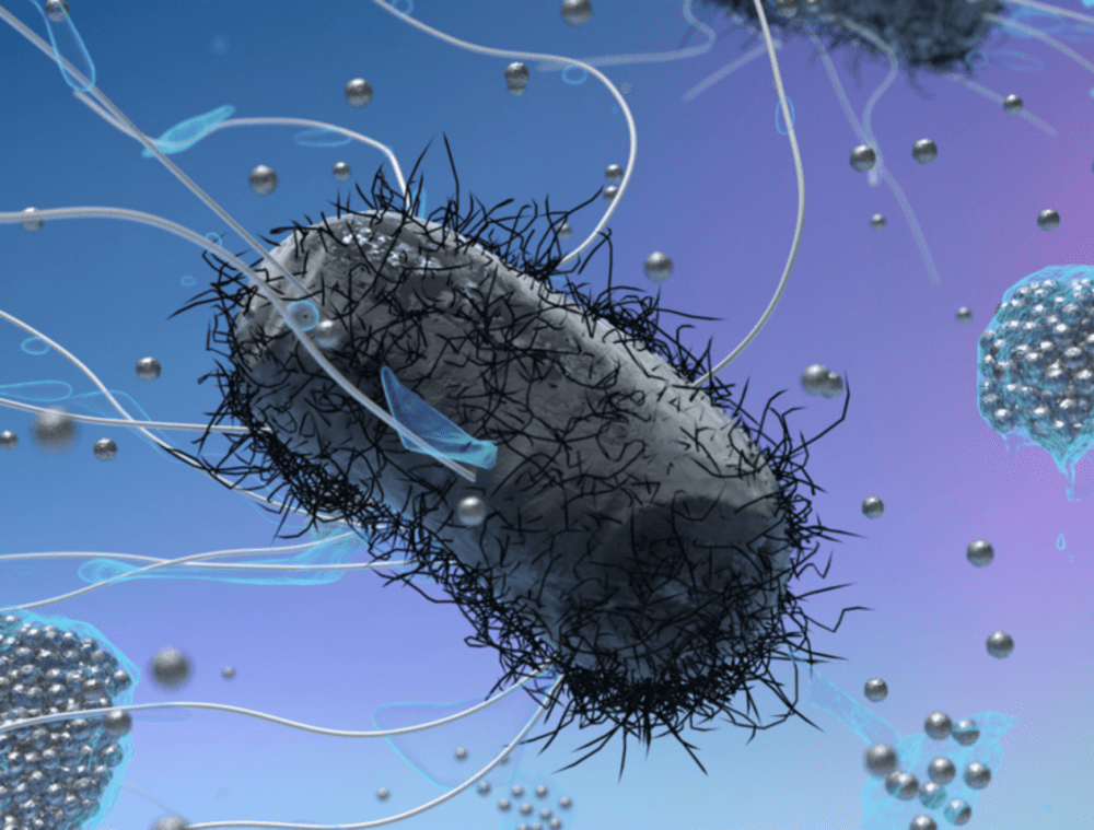 کشف سازوکار نابودی باکتری ها با نانوذرات طلا