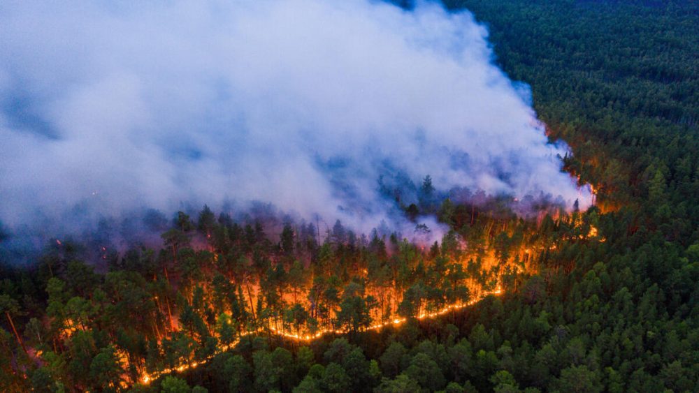 آتش سوزی جنگل و راهکارهای مدیریتی و مقابله با آن