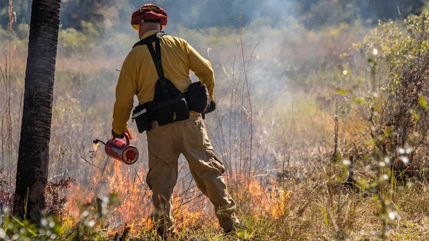 آتش سوزی کنترل شده   در فصول مرطوب توسط سازمان جنگلداری کشور آمریکا