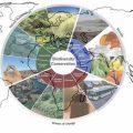 حفاظت از تنوع زیستی در کشاورزی