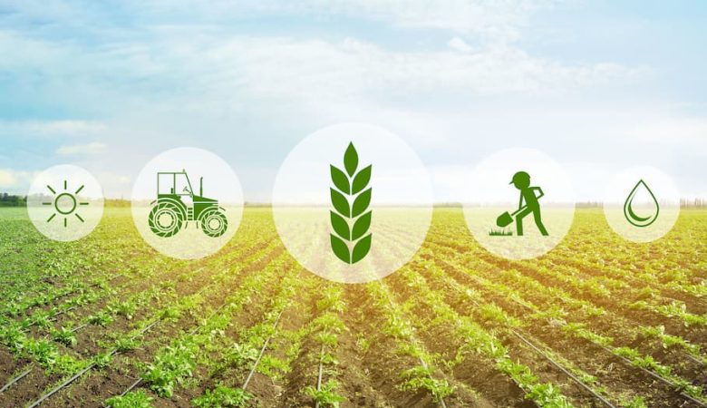 شیوه و کارکردهای کشاورزی پایدار