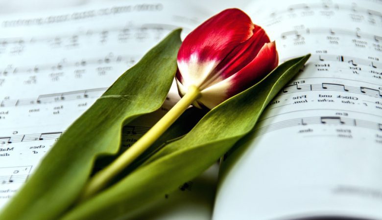 تاثیر موسیقی بر گیاهان