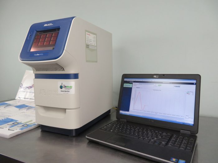 Real-Time-PCR