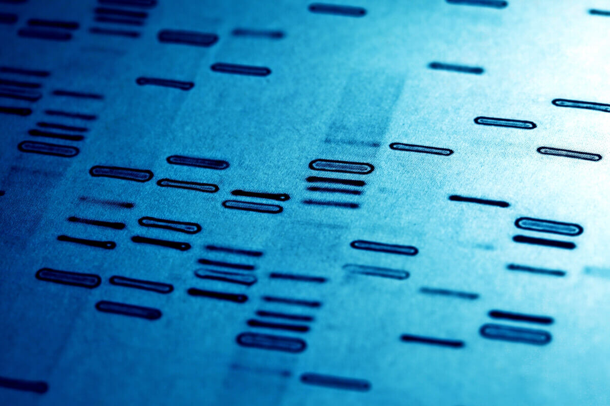 کاربرد PCR در تشخیص بیماری های ژنتیکی