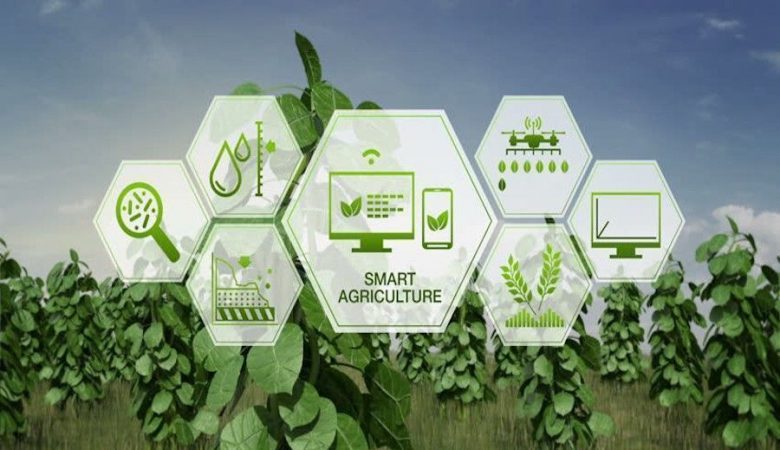 نقش زیست فناوری در ارتقاء تولیدات کشاورزی
