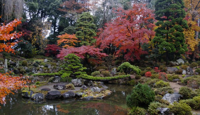 باغ-سازی-ژاپنی
