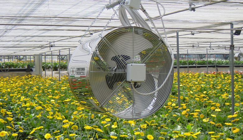 تهویه گلخانه با پنکه (Fan Ventilation)