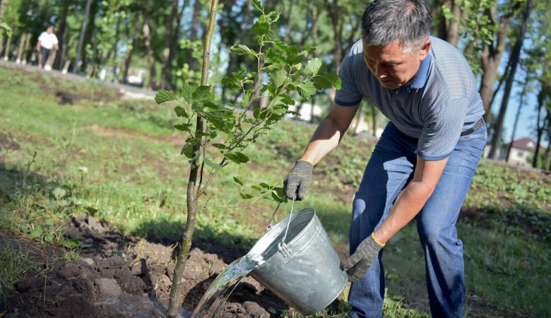 آموزش نحوه کاشت درختان باغ میوه