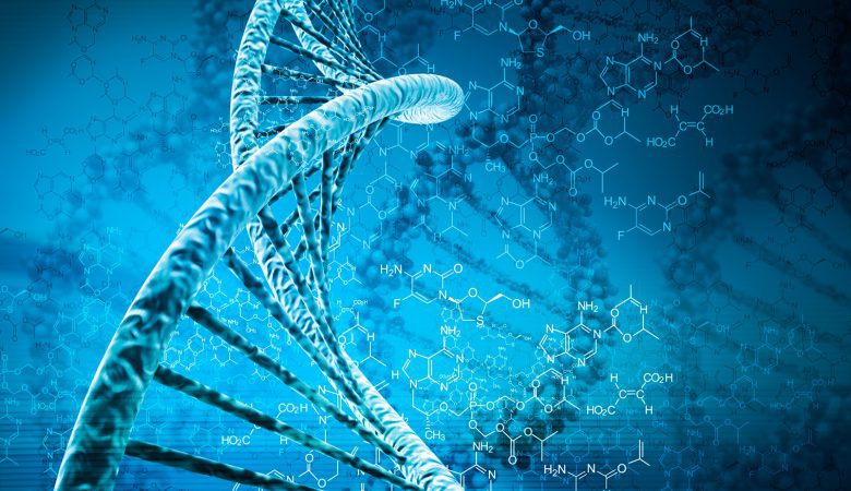 ماهیت و ساختار DNA چیست؟