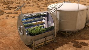 رفع کمبود غذا در زمین با گلخانه های فضایی