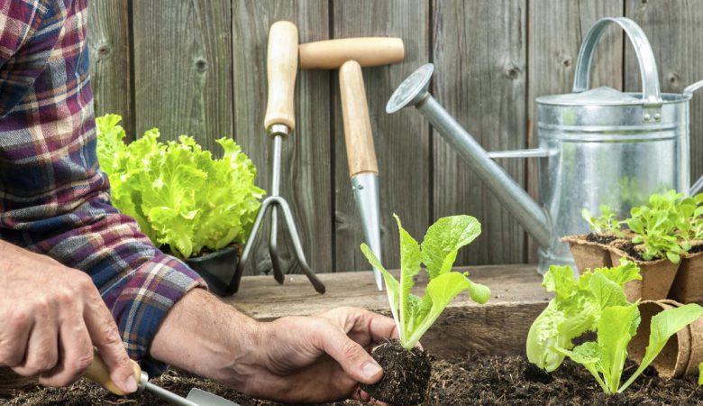 روش کوددهی در باغچه خانگی و انتخاب خاک مناسب باغچه