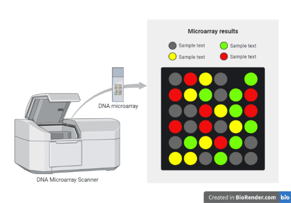 پاورپوینت فناوری ریزآرایه (Microarray) و کاربردهای آن