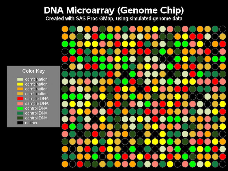 فناوری میکرواری (Microarray)