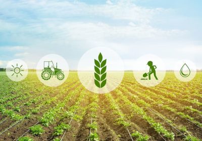 شیوه و کارکردهای کشاورزی پایدار