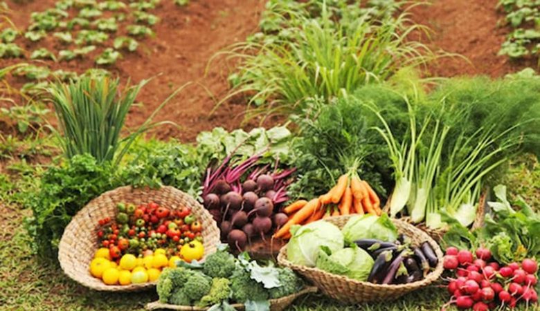 کشاورزی ارگانیک، بیولوژیک و تنوع ژنتیکی