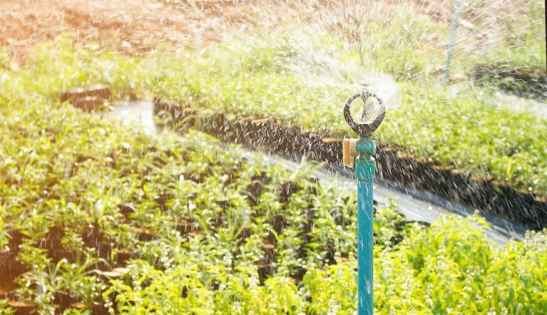 مدیریت دقیق آب: چگونه اندازه‌گیری هدایت و سختی آب، کشاورزی را متحول می‌کند؟