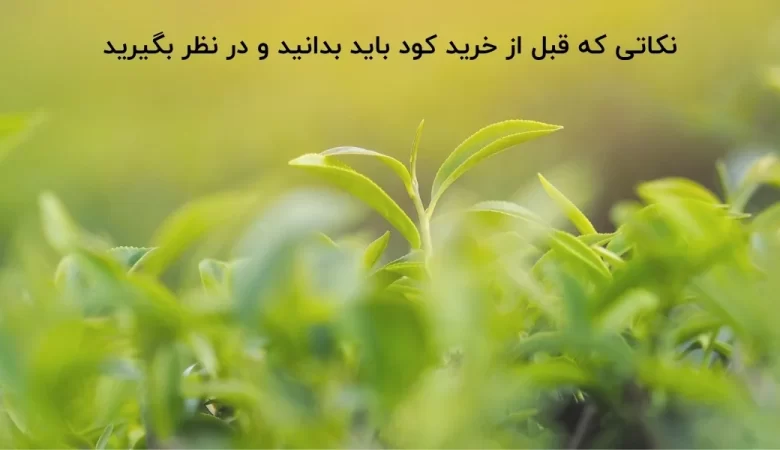 نکاتی که قبل از خرید کود باید بدانید و در نظر بگیرید
