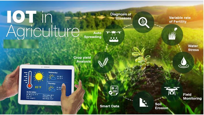 نقش اینترنت اشیا (IoT) در مزارع