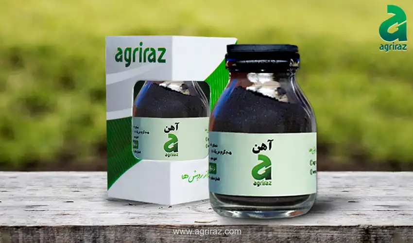 مقدار و زمان مصرف کود آهن برای مرکبات