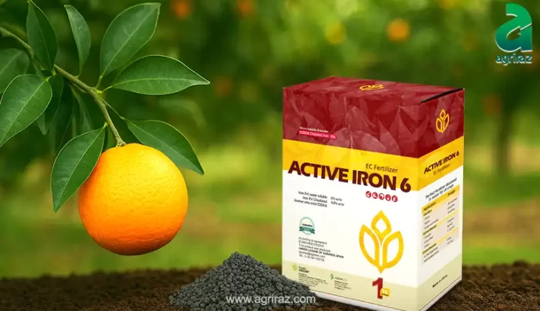 راهنمای جامع خرید کود آهن برای مرکبات: تضمین سلامت و شادابی درختان شما