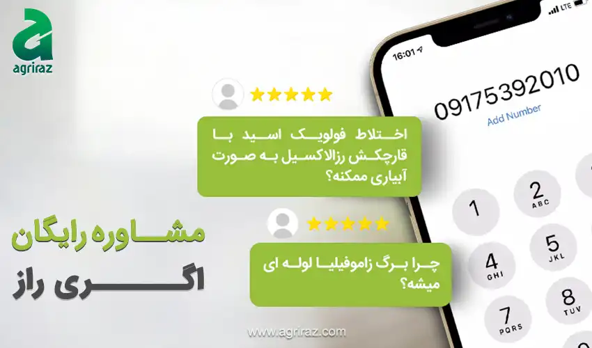 راهنمای جامع خرید کود آهن برای مرکبات: تضمین سلامت و شادابی درختان شما